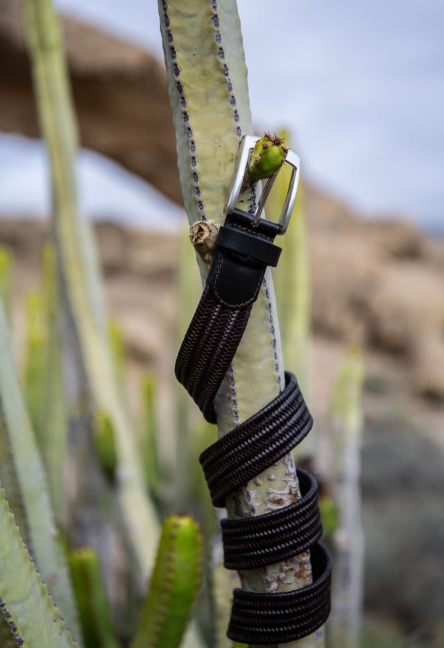 <span style='font-size: 1.9rem; overflow-wrap: inherit;'>PASKI</span>